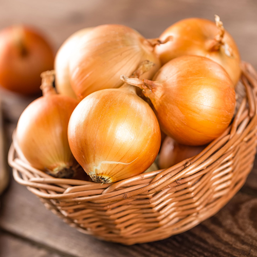 Fresh Yellow Onion