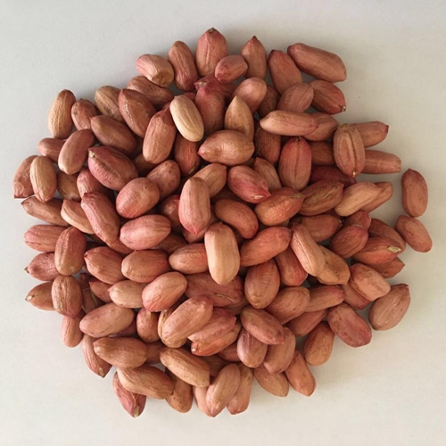 Peanut Bold - 50/60