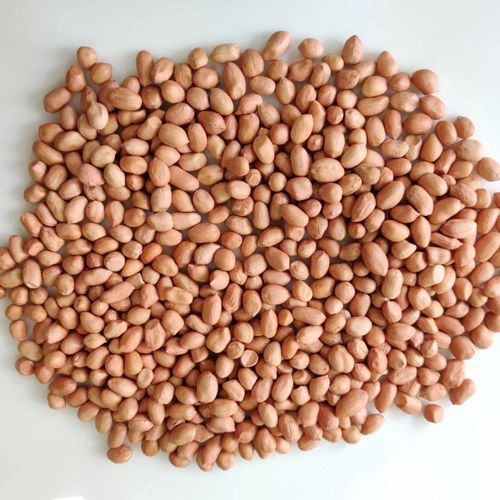 Peanut Java  - 50/60