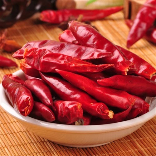 Bholar Chili
