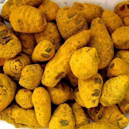 Bulbs Turmeric Finger
